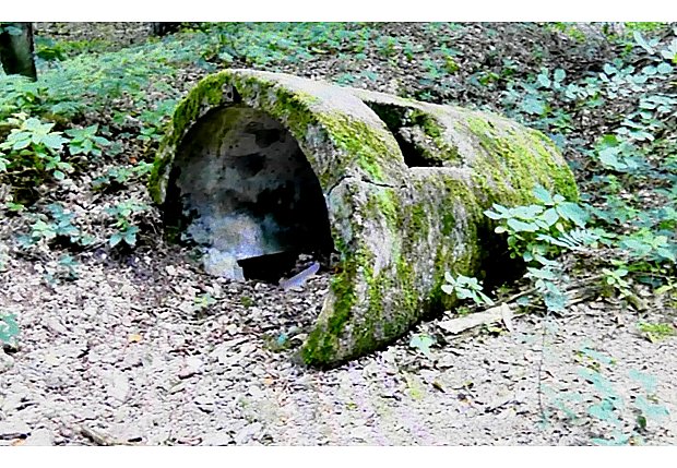 Bunker im Kreis Gütersloh