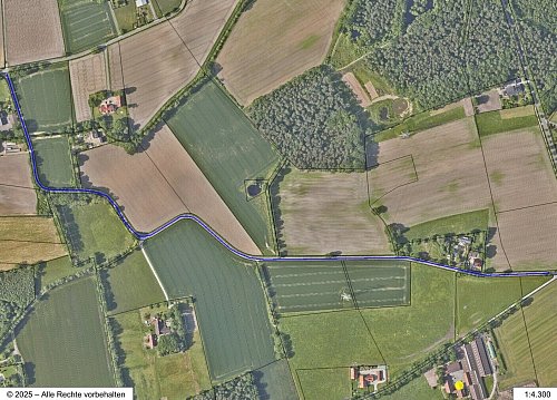 In der Karte blau markiert ist der Straßenabschnitt, der saniert wird. - © Gemeinde Steinhagen