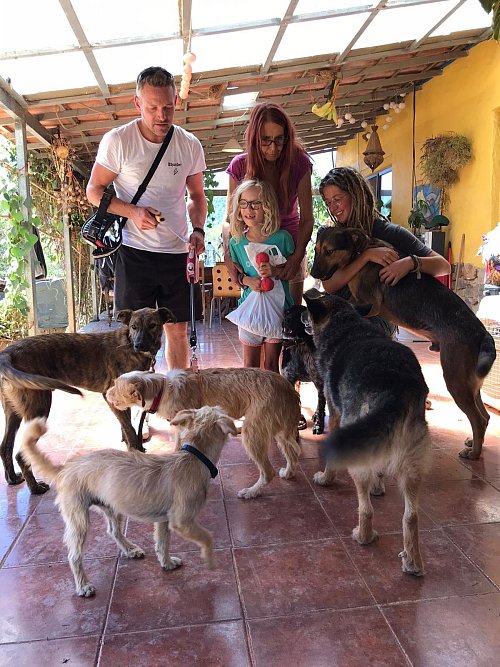 Auf der Farm von Evelyn Schmidt-Barthold (Mitte) in Portugal leben Mensch und Tier eng zusammen. Einstige Straßenhunde werden versorgt und vermittelt. - © privat