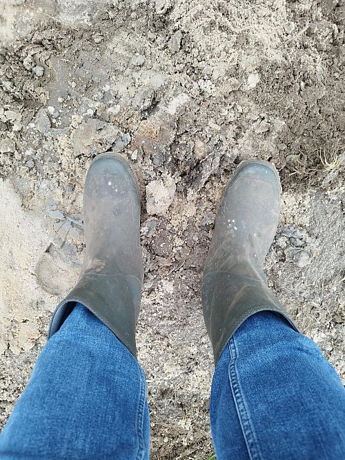 Gummistiefel trägt HK-Redakteur Andre Schneider im Beruf eher selten. - © Andre Schneider