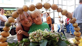 Galerie Kartoffelmarkt