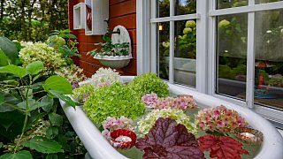 Schönster Garten in OWL: Gütersloh