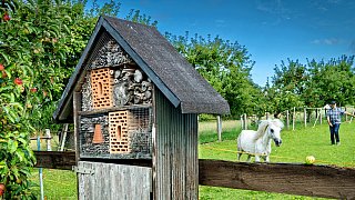 Wettbewerb Schönster Garten in OWL- Garten von Meinhard und Inge Rethmeier in Altenhagen