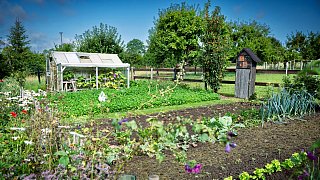 Wettbewerb Schönster Garten in OWL- Garten von Meinhard und Inge Rethmeier in Altenhagen