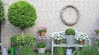 Mein schöner Garten in Steinhagen