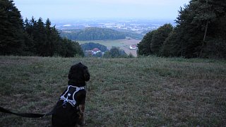 Die schönsten Bilder vom Sonnenaufgang