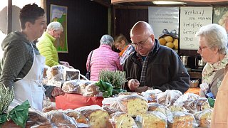Galerie Kartoffelmarkt