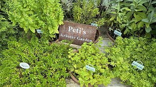 Mein schöner Garten in Steinhagen