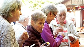 Galerie Kartoffelmarkt