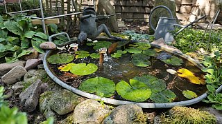 Das Gartenidyll von Ludger und Martina Jochmaring aus Brakel