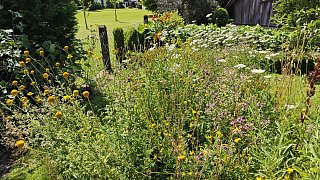 Das Gartenidyll von Ludger und Martina Jochmaring aus Brakel