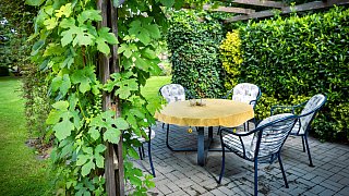 Wettbewerb Schönster Garten in OWL- Garten von Meinhard und Inge Rethmeier in Altenhagen