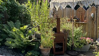 Schönster Garten in OWL: Gütersloh