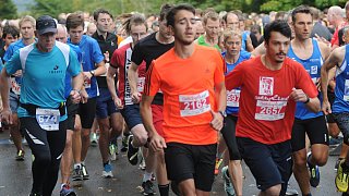 Das sind die Läufer vom 16. Böckstiegellauf in Werther