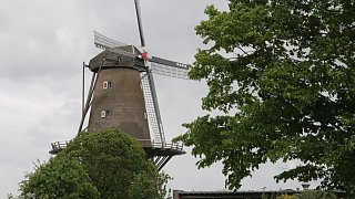 Einblicke in Park und Museum