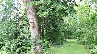 Garten von Mareike Hübner aus Löhne