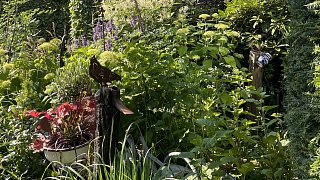 Schönster Garten in OWL: Gütersloh