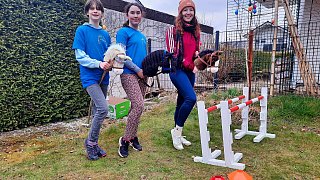 Hobby-Horsing: Einblicke in das Training in Halle