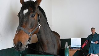 Mit Tierarzt Volker Janssen auf Tour