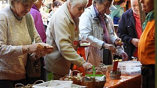 Galerie Kartoffelmarkt