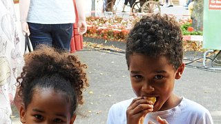 Galerie Kartoffelmarkt