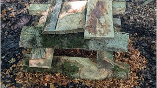 So wird eine Igelburg gebaut.