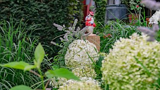 Schönster Garten in OWL: Gütersloh