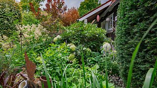Schönster Garten in OWL: Gütersloh