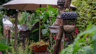 Schönster Garten in OWL: Gütersloh
