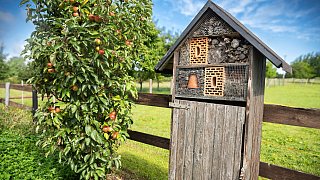 Wettbewerb Schönster Garten in OWL- Garten von Meinhard und Inge Rethmeier in Altenhagen
