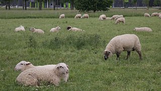 Einblicke in Park und Museum