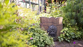 Paderborn: Romantischer Garten von Brigitte Bergschneider