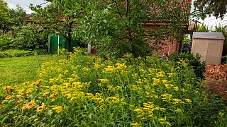 Naturgarten in Versmold: Juliane Römisch