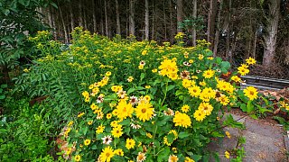 Naturgarten in Versmold: Juliane Römisch