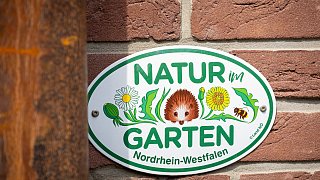 Paderborn: Romantischer Garten von Brigitte Bergschneider