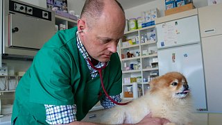 Mit Tierarzt Volker Janssen auf Tour