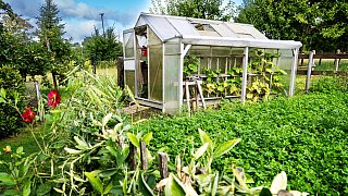 Wettbewerb Schönster Garten in OWL- Garten von Meinhard und Inge Rethmeier in Altenhagen