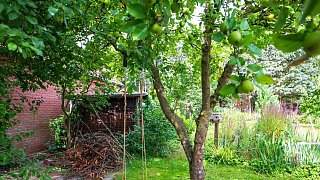 Naturgarten in Versmold: Juliane Römisch