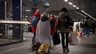 Forscherin: Es kommen dieses Jahr mehr Flüchtlinge als 2015