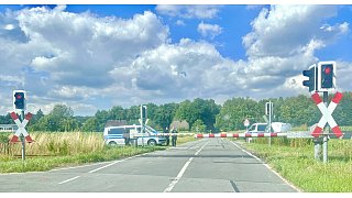 Die Suche nach Marion S.