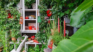 Schönster Garten in OWL: Gütersloh