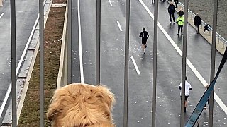 Fotostrecke: Autobahnlauf A 33