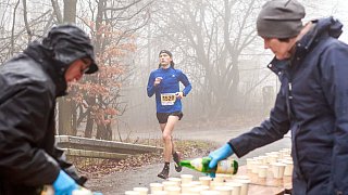 Luisenturmlauf 2019