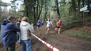 Das sind die Läufer vom 16. Böckstiegellauf in Werther
