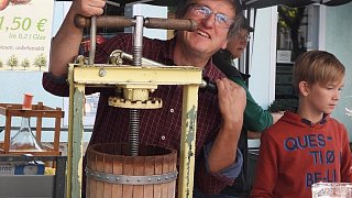 Galerie Kartoffelmarkt