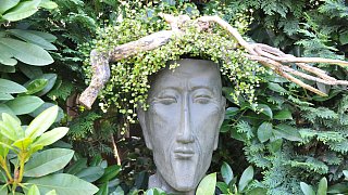 Mein schöner Garten in Steinhagen