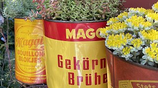 Schönster Garten in OWL: Gütersloh