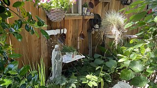 Schönster Garten in OWL: Gütersloh