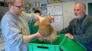 Mit Tierarzt Volker Janssen auf Tour