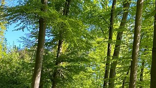 Versmolder radeln nach Hannover